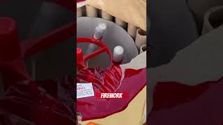 Firework fireworks christmas pyrotechnics funny 4thofjuly shorts trending viralvideo [upl. by Selyn]