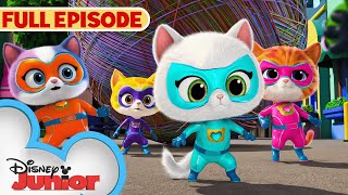 SuperKitties First Full Episode  S1 E1  The Great Yarn CaperGet the Boot  disneyjr [upl. by Niatsirk]