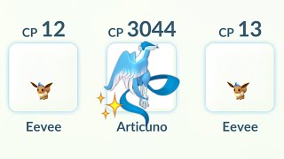 SHINY GALARIAN ARTICUNO vs Team Go Rocket 🚀 Leader SIERRA in Pokemon GO [upl. by Lennod]