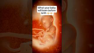 🤯🤯What Your Baby Already Knows By Birth [upl. by Glorianna69]