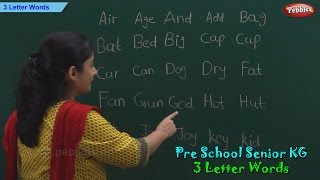 3 Letter Words  Three Letter Phonics Words  Sight Words  School Leaning [upl. by Eerb]