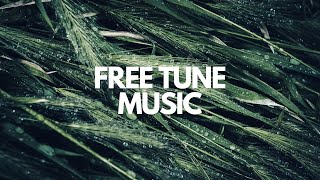 Lensko  Cetus  FREE COPYRIGHT MUSIC [upl. by Anela]