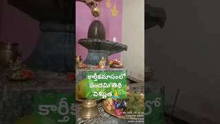 Day 5 Karthikamasam panchami tithi importance👆కార్తీకమాసం పంచమి తిథి👍 విశిష్టత తెలుసుకుందాం రండి🙏 [upl. by Grantley189]