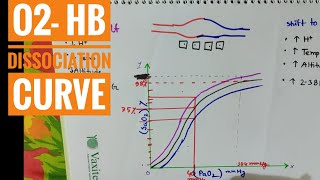 O2Hb Dissociation Curve  Bangla Demonstration of OxygenHemoglobulin Dissociation Curve [upl. by Oinotla]