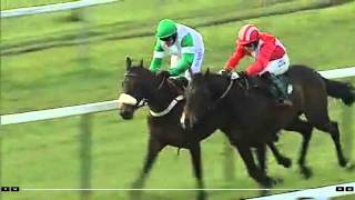 Historic Race at Towcester Racecourse [upl. by Ferrigno380]