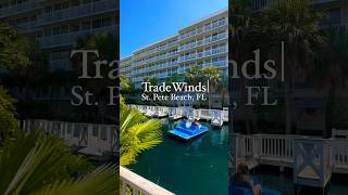 TradeWinds Island Resorts 🏝️ St Pete Beach  Things To Do Tampa Bay [upl. by Kcered]