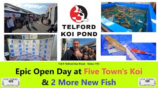 TKP Telford Koi Pond  Video 193  Epic Open Day at Five Towns Koi amp 2 More New Fish koi [upl. by Rizzo912]