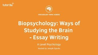 Biopsychology Ways of Studying the Brain Essay Writing [upl. by Aguayo483]