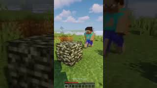 Minecraft moment [upl. by Jodee659]