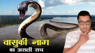 क्या है वासुकि नाग का रहस्य  Insane Discovery in India  Worlds Largest Snake Vasuki Indicus [upl. by Enyt576]