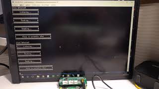 Raspberry Pi Zero W with ReSpeaker 2Mics Hat running Google Assistant and Alexa simultaneously [upl. by Yaf]