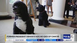 Former President Obamas dog Bo dies of cancer [upl. by Melleta]