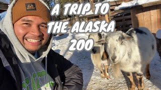 A TRIP TO THE ALASKA ZOO [upl. by Brothers968]