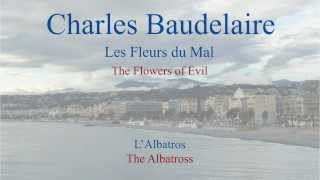 French Poem  LAlbatros by Charles Baudelaire  Slow Reading [upl. by Anihsat]