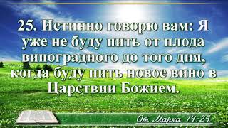 ВидеоБиблия Евангелие от Марка без музыки глава 14 читает Бондаренко [upl. by Zadack]