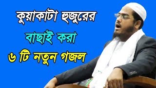 হাফিজুর রহমান সিদ্দিকীর বাছাই করা গজল । Bangla New gojol 2018 [upl. by Adyan]