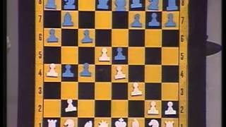 Schach der Großmeister 1984 [upl. by Langille14]