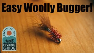 Woolly Bugger Fly Tying Instructions Tie an Easy Woolly Bugger aka Krystal Bugger [upl. by Aened]