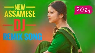 birat bhal lora dj remix song  new Assamese song  Allkochvlogger [upl. by Siwel]