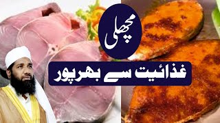 Fish BENEFITS  FISH  VANJARAM FISH  MOHAMMED THALHA RASHADI OFFICIAL [upl. by Nitsyrk234]