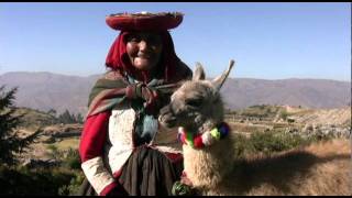 The Cuddly Camelids of Peru [upl. by Schwing]