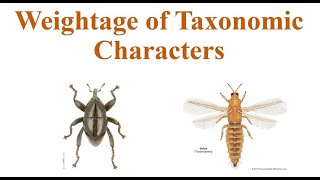 Weightage of Taxonomic characters [upl. by Joshuah]