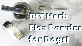 DIY AllNatural Flea Powder for Dogs [upl. by Melamie]