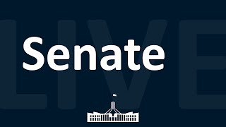 The Senate  19112024 [upl. by Packton]