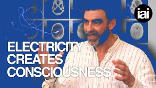 Electricity creates consciousness  Nick Lane [upl. by Eugenie]