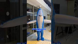 20 MIN DANS LA PEAU D’UN DAUPHIN  shortvideo swimming job [upl. by Alenoel]