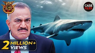 Wild Sharks के Case में कैसे फँसी CID  Best Of CID  22nd October 2023 [upl. by Romy406]