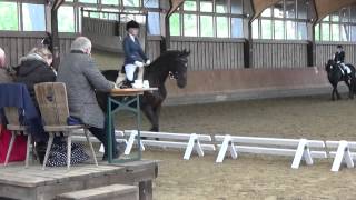 ADressur  3 Platz mit 76  REITTV [upl. by Nomzaj]