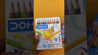 SKOODLE NON TOXIC amp WOOD FREE COLOUR PENCIL UNBOXING amp REVIEW UNDER RS 20 SKOODLE colourpencil [upl. by Ashely949]