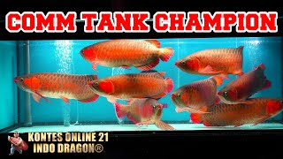 COMM TANK CHAMPION KONTES ONLINE 21 INDO DRAGON® KONTES PALING BERGENGSI  LAWANNYA SATU DUNIA [upl. by Rivard]