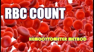 RBC count  Red blood cells estimation  Hemocytometer  RBCcount practical rbccount hemocytometer [upl. by Aisatsan]