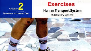 Sec 2\ Biology 1st term\ Chapter 2\ Lesson 2 Human transport system  exercises بايو ثانية ثانوى [upl. by Ardolino505]