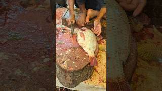 Amazing Great Delicious Tilapia Fish Cutting Techniques  Fish Cutting Skills 😲 shorts [upl. by Sender]