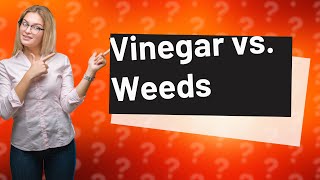 Does vinegar kill weeds to the root [upl. by Eecal585]