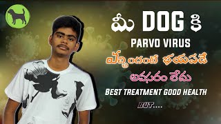 parvo virus వస్తే భయపడే అవసరం లేదు  parvo virus Best treatment in Telugu  Rottweiler training [upl. by Tildie]