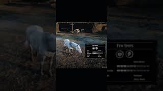 RDR2 • All Appaloosa Horse Colors and Locations • Red Dead Redemption 2 [upl. by Graig]