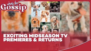 Midseason 2025 TV Schedule Revealed Premieres amp Returns [upl. by Enerual781]