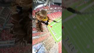 Highest Rope Swing Drop 😳 atlantafalcons [upl. by Maibach217]