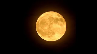 Sturgeon Supermoon over San Antonio [upl. by Nwahsad]