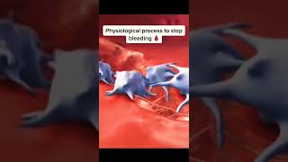 Hemostasis part 1 sciencefacts biology [upl. by George]