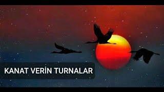 HiraiZerdüş  Kanat verin turnalar  akustik [upl. by Celestyn231]