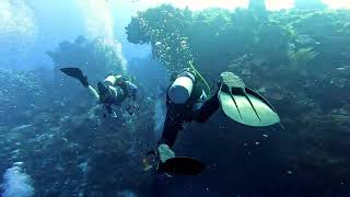 Cozumel Diving  Colombia Deep [upl. by Gearard280]