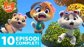 44 Gatti  10 Episodi Completi 🧶🐈  Miciovigliosa Compilation 2  Serie 1 [upl. by Nofpets368]