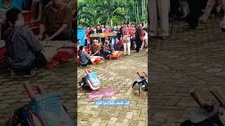 turonggo arum live pemandian umbulan dampit [upl. by Anidualc]