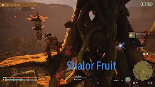 Towers of Aghasba How to get Shalor Fruit [upl. by Nohsed]