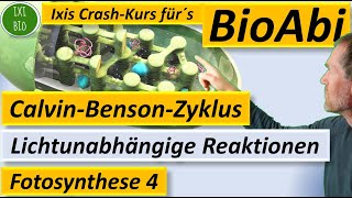 Fotosynthese 4 Lichtunabhängige Reaktionen  CalvinZyklus  CalvinBenson Sekundärreaktion BioIxi [upl. by Adnic]